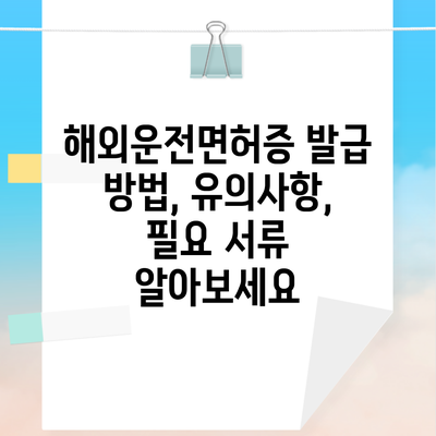 해외운전면허증 발급 방법, 유의사항, 필요 서류 알아보세요