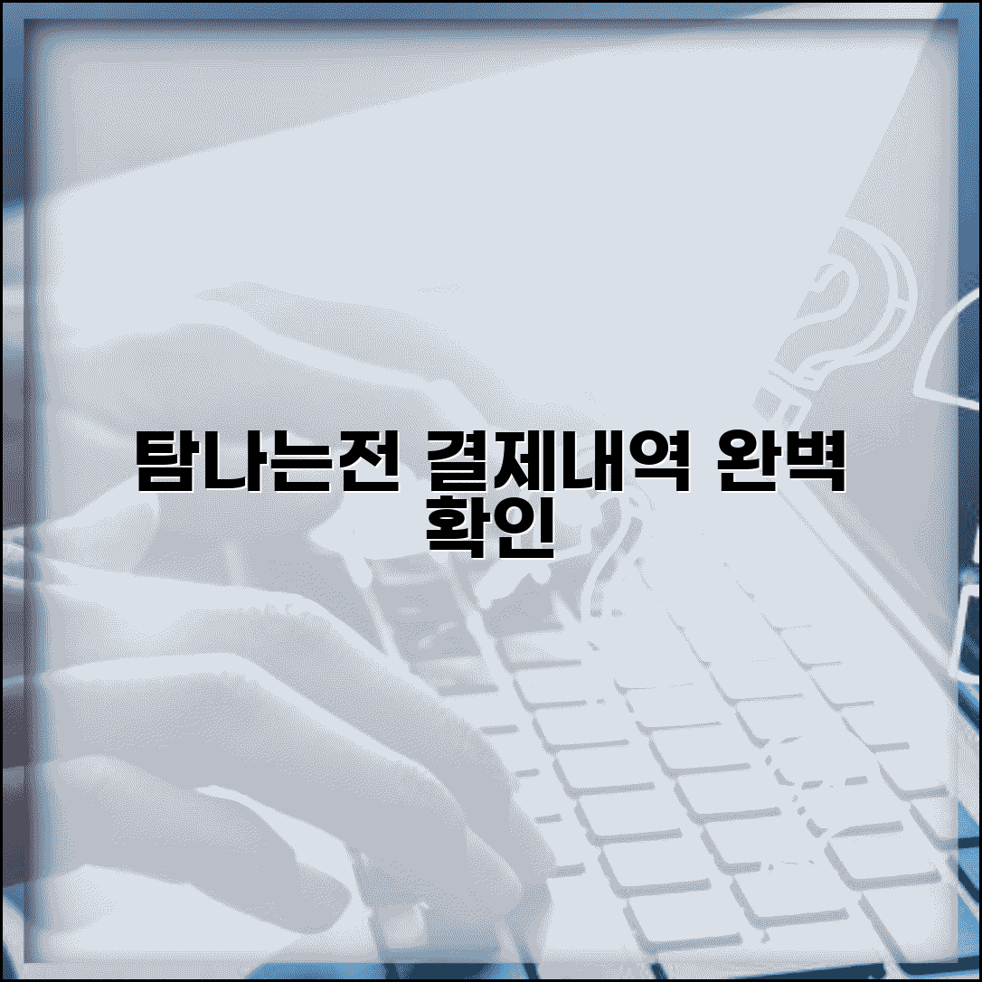 탐나는전 사용내역 확인 | 결제내역 조회 관리 완벽방법