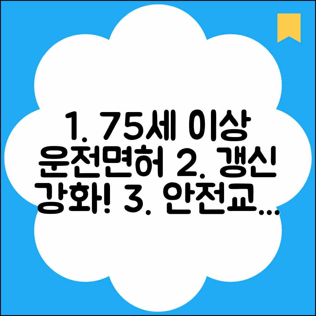 75세 이상자 운전면허증 갱신 강화 | 고령 운전자 안전 교육과 인지능력 검사