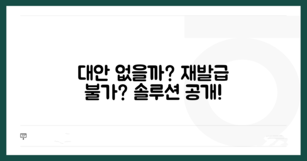 재발급 불가 시 대안은 무엇인가