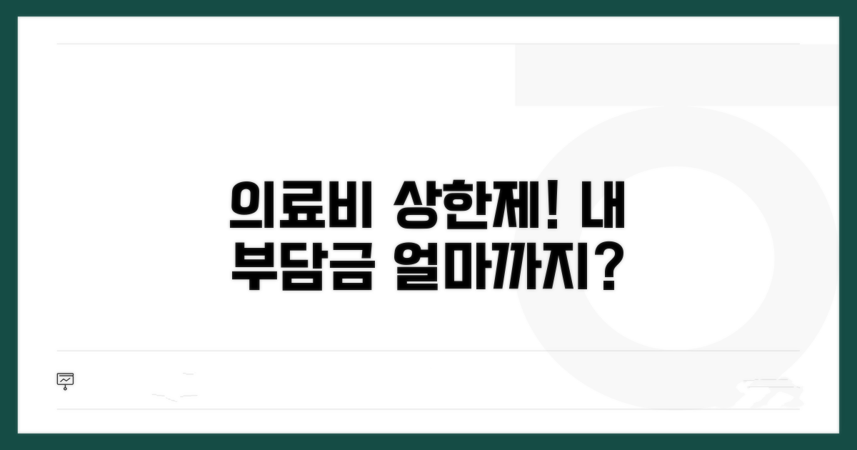 의료비 본인부담금 상한제란?