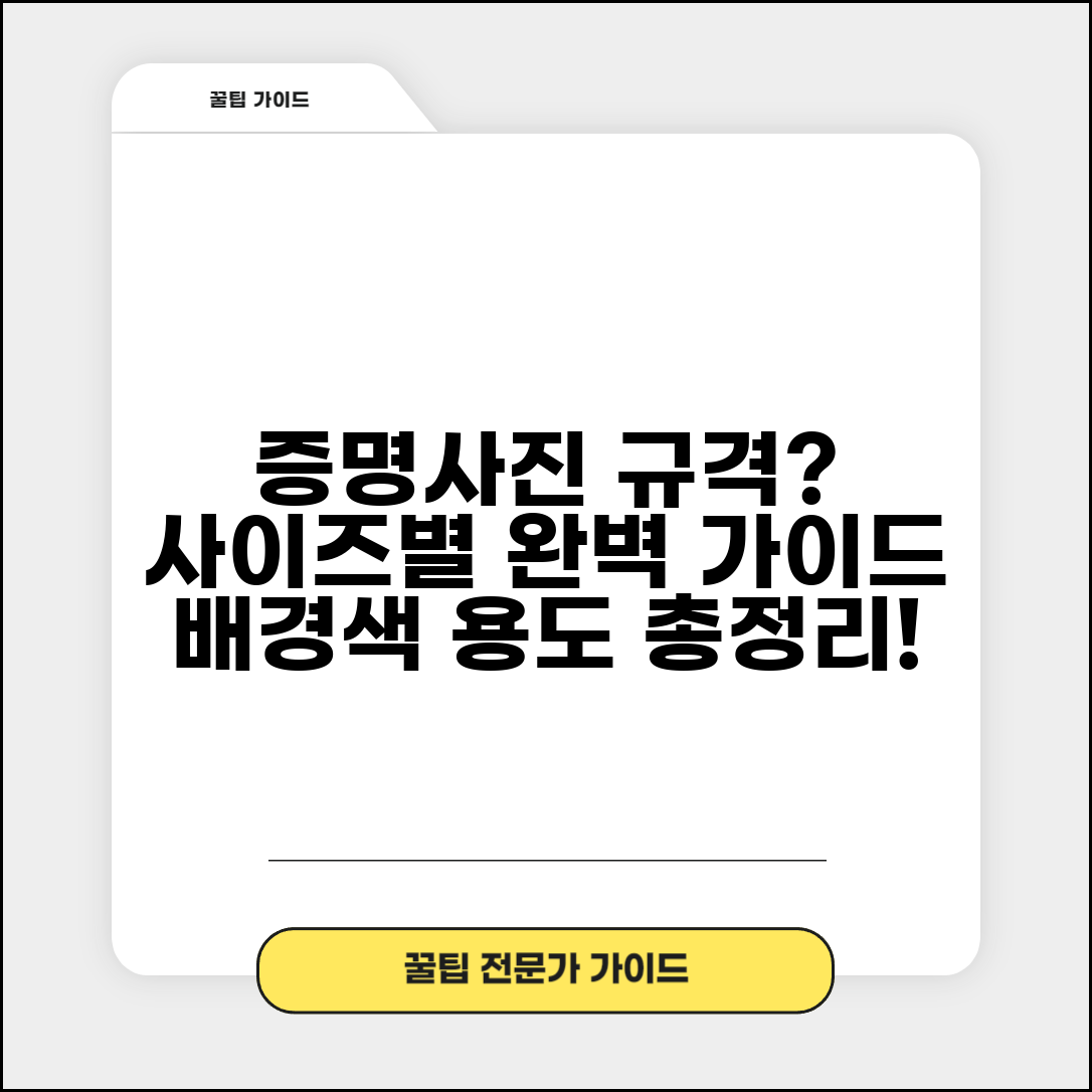 증명사진 규격 사이즈 배경색 | 증명사진 크기별 용도와 규정