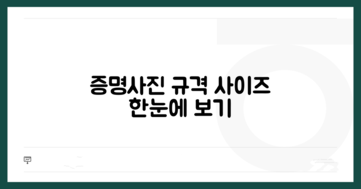 증명사진 규격과 사이즈 한눈에