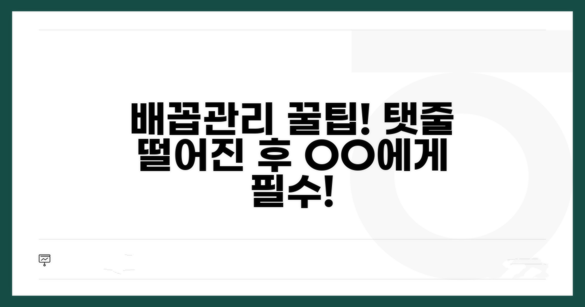 탯줄 떨어진 후 배꼽 관리법