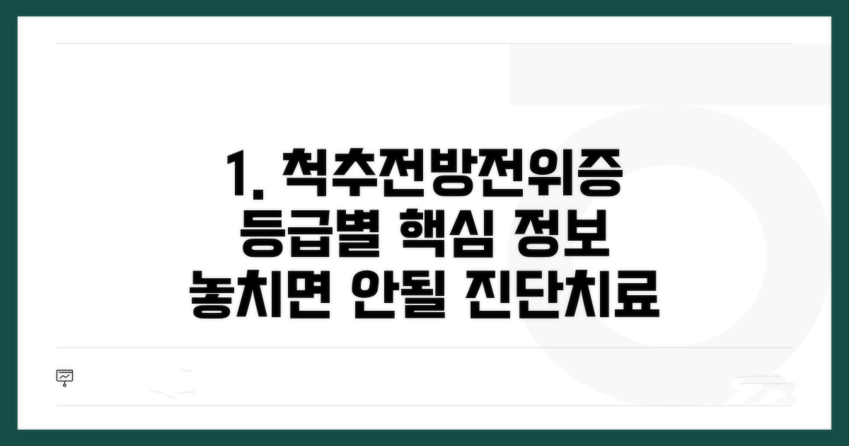 척추전방전위증 등급별 핵심 정보