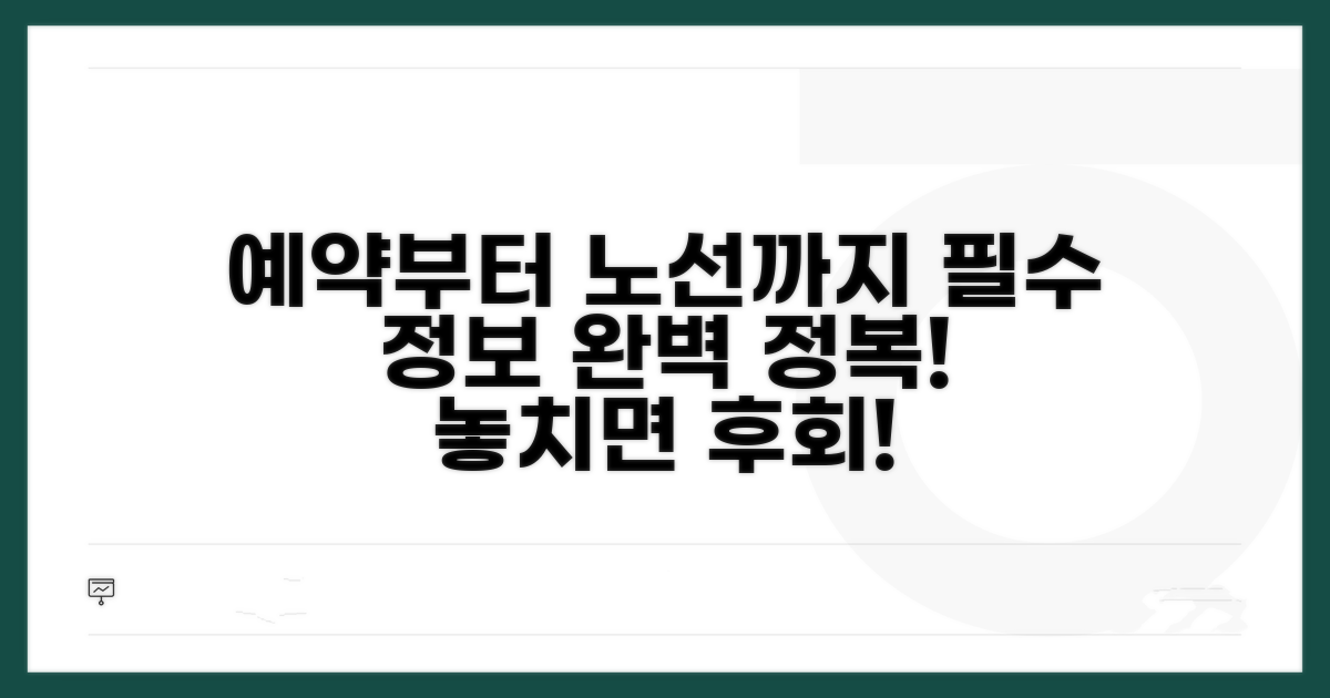 예약 방법부터 노선까지 완벽 정리