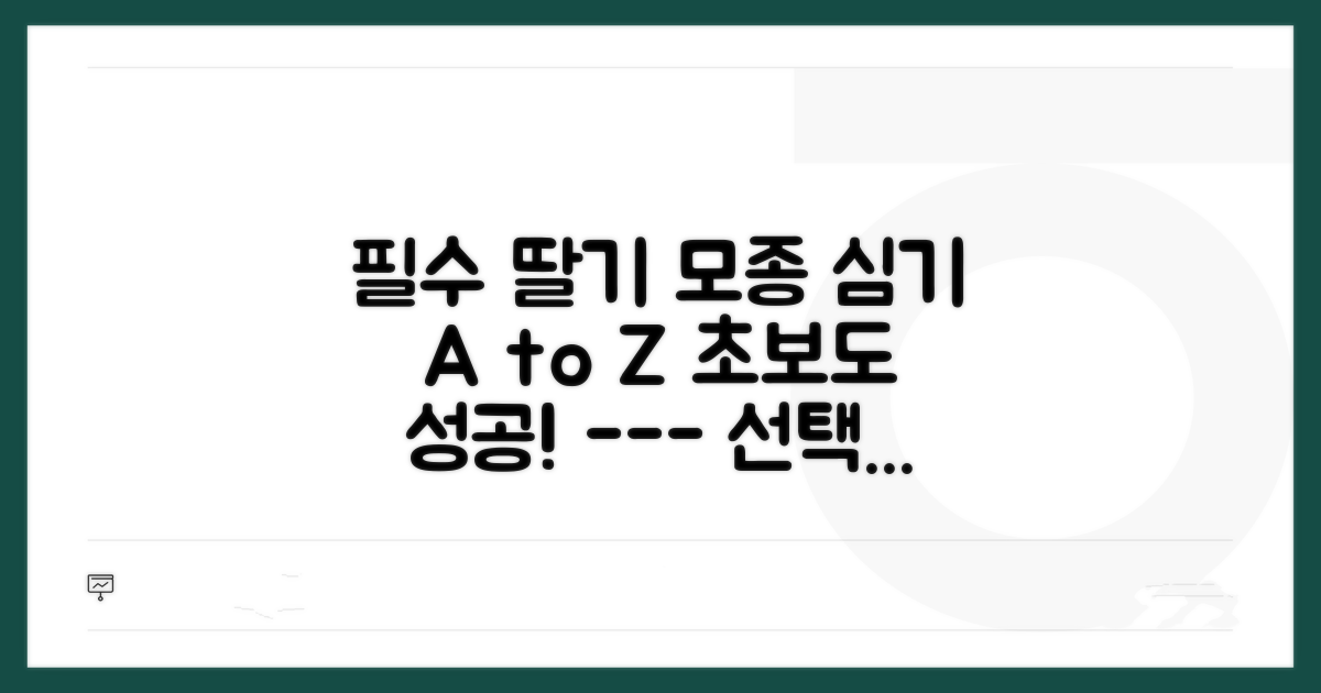 딸기 모종 심기 핵심 가이드