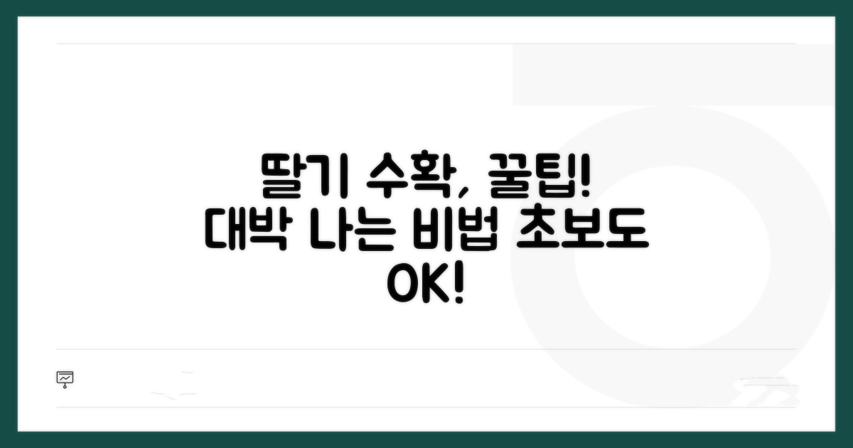 딸기 재배 성공을 위한 꿀팁