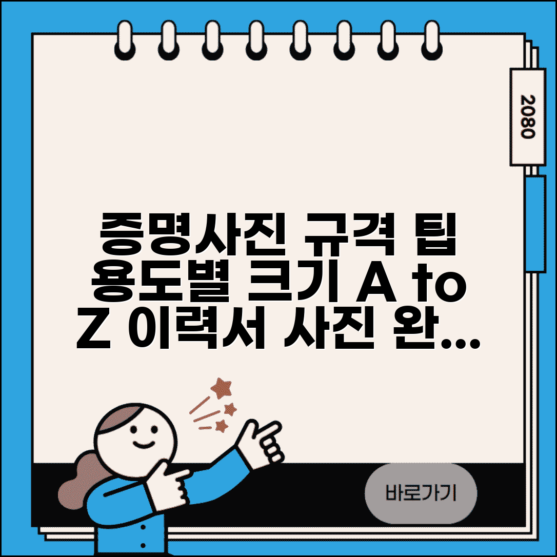 증명사진 규격 및 촬영 팁 | 용도별 크기 기준 | 이력서용 사진 준비법