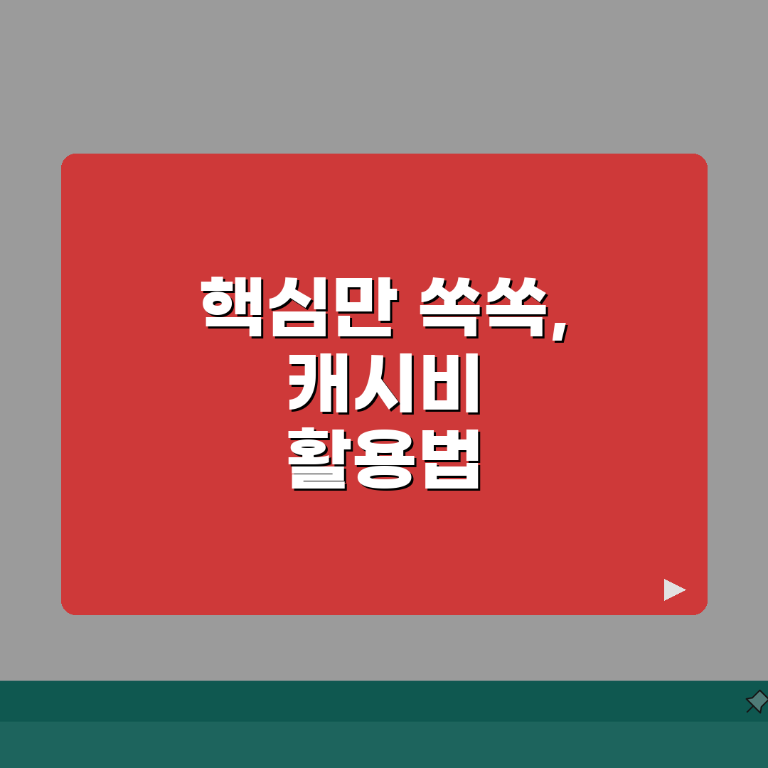 캐시비 교통카드 사용법: 지역별 총정리 (환승/심야/거리요금)