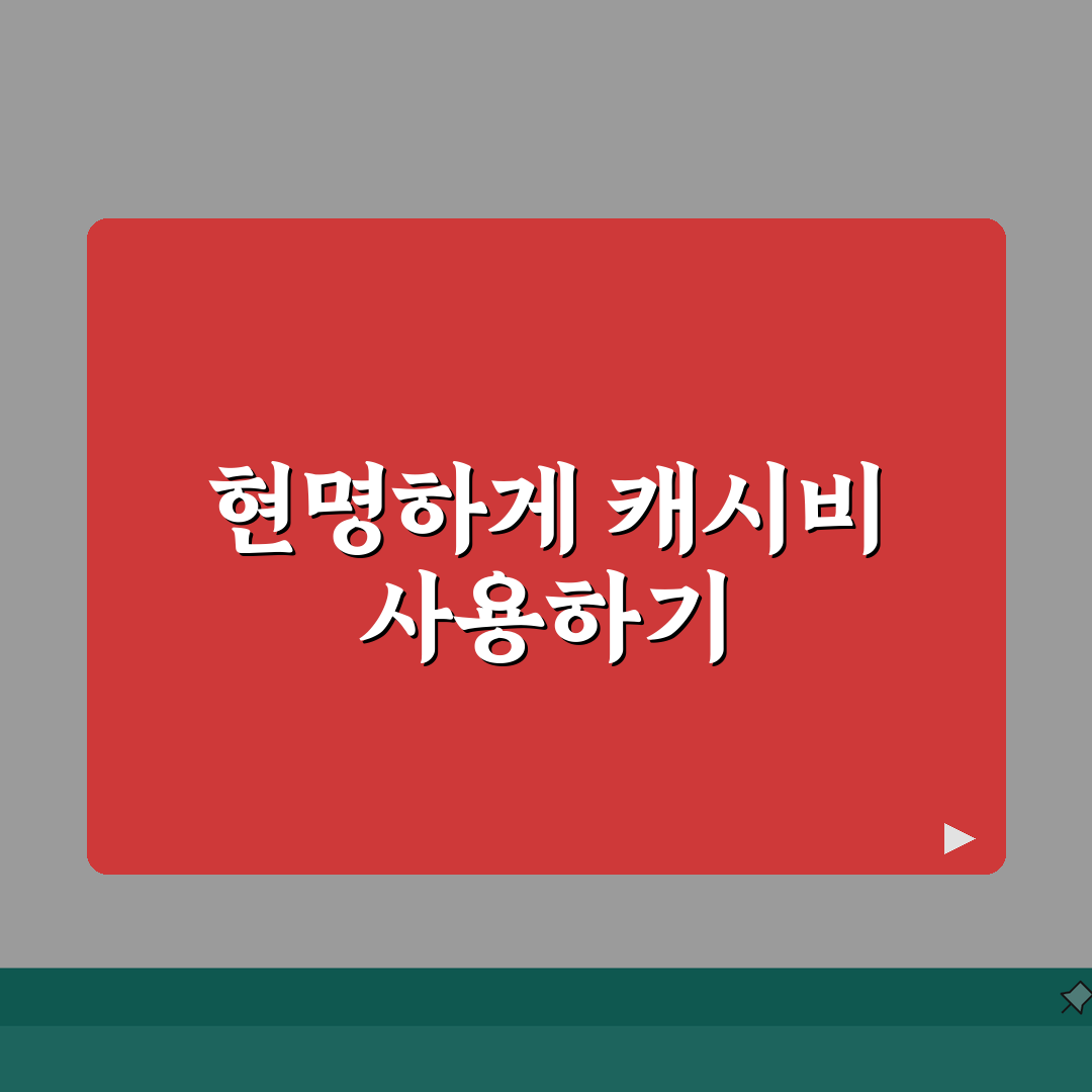 캐시비 교통카드 사용법: 지역별 총정리 (환승/심야/거리요금)