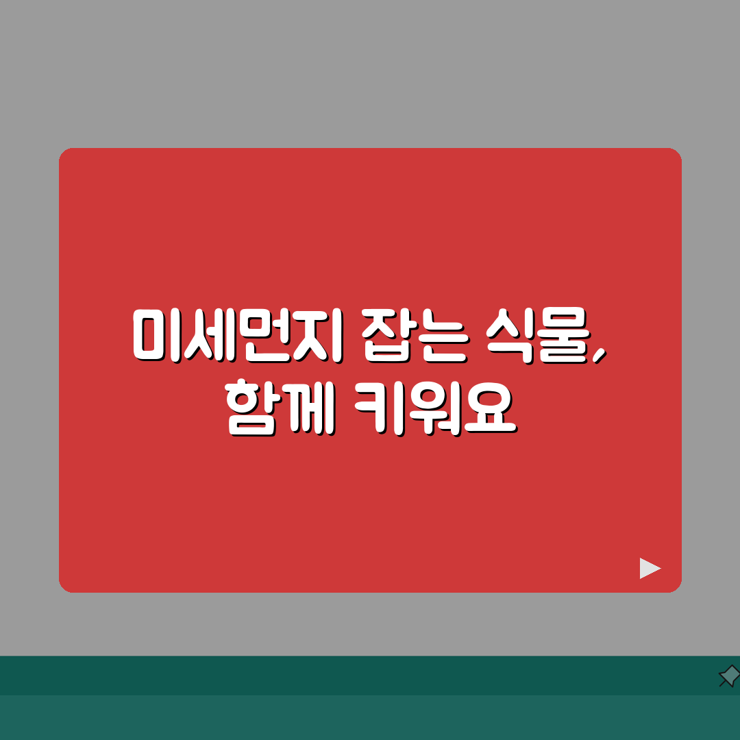 미세먼지 정화식물 추천 | 체험기, 실내공기질 개선효과 관리법