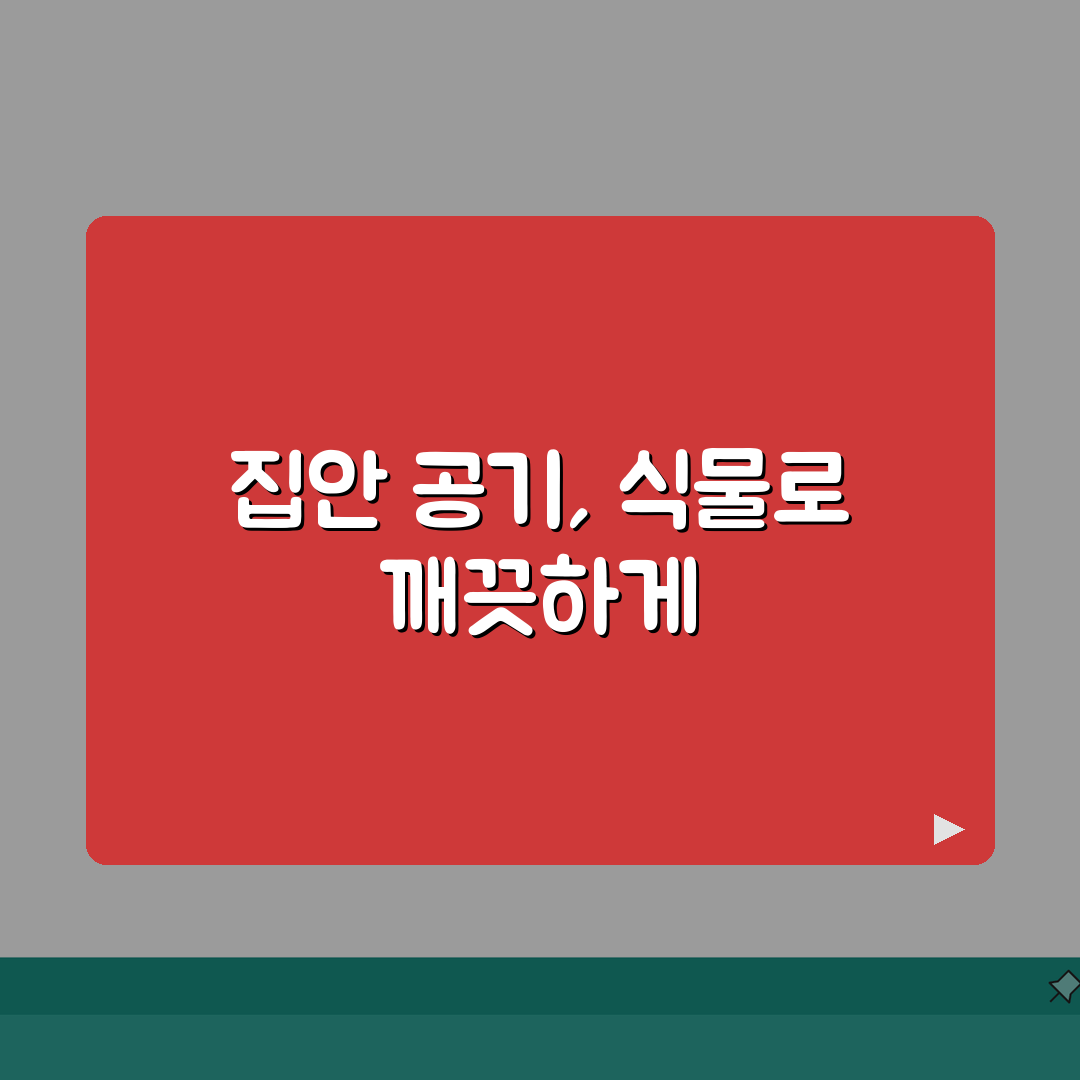 미세먼지 정화식물 추천 | 체험기, 실내공기질 개선효과 관리법