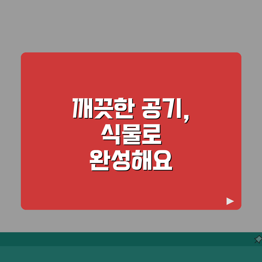 미세먼지 정화식물 추천 | 체험기, 실내공기질 개선효과 관리법