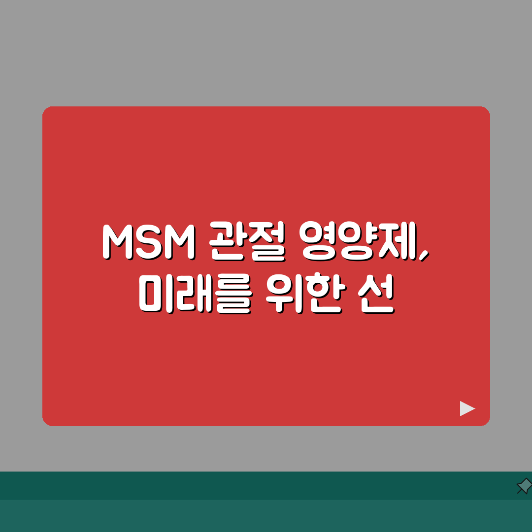 관절 영양제 추천 순위 MSM | 관절 건강 제품 성분별 추천 심층분석: 7가지 핵심 성분